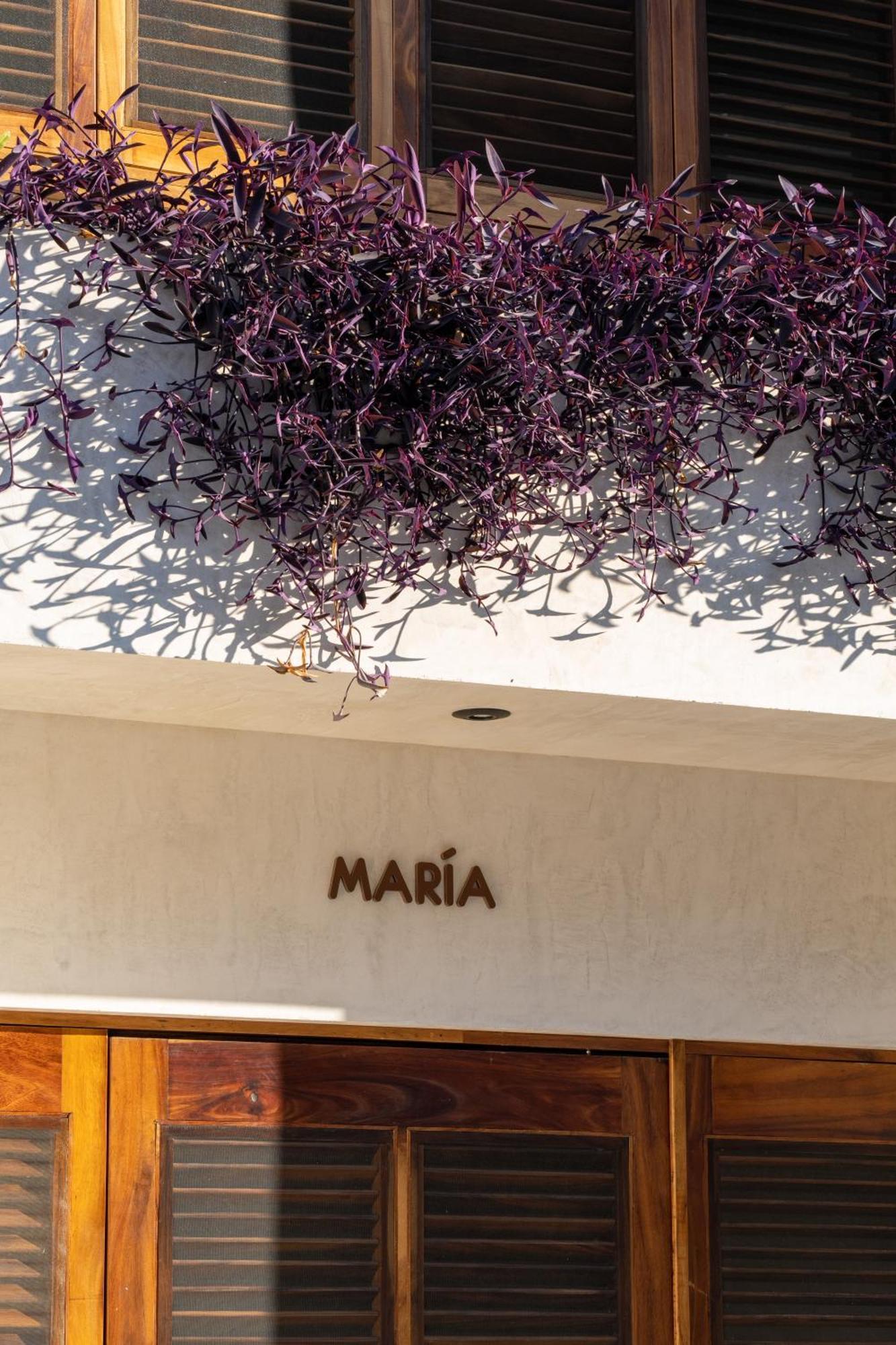 Casa Mava Hotel Brisas de Zicatela Ngoại thất bức ảnh